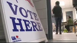 Registered voters in Georgia | What to know