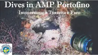 Paolo VDL: Dives in AMP Portofino - Torretta e Faro 2019