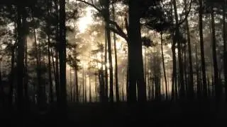 Sephira - When Pixies Sleep (Psybient / Downtempo Mix)
