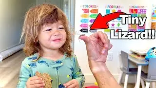 We Found a Baby Lizard In Our HOUSE!! Vlogmas Day 1