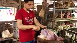 Amazing Skills || chicken cutting skills || Big chicken cutting skills || How to cut chicken pat-150