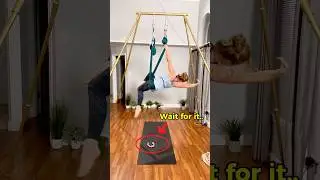 Aerial Yoga as a Dog Mum 👀🐶 #aerialyoga #aerialhammock