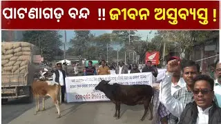 ୧୨ ଘଣ୍ଟିଆ ପାଟଣାଗଡ଼ ବନ୍ଦ ପ୍ରଭାବରେ ସହରର ଗତିଶୀଳ ଜୀବନ ଆଜି ସମ୍ପୂର୍ଣ୍ଣ ଥମି ଯାଇଛି | PATNAGARH | SATEJ TV |