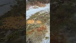 Глупый лед, я сильно упал