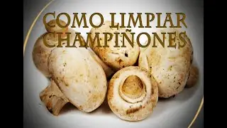 CÓMO LIMPIAR CHAMPIÑONES |JAMÁS SE LAVAN|
