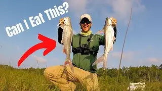 Saltwater Canal Fishing Catch & Cook