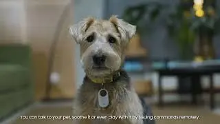 SmartThings: Pet Care &ndash; zdalna opieka nad zwierzakami! | Odc. 15