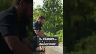 Sustainable Landscaping for Kitchener-Waterloo