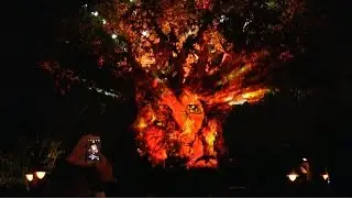 Tree of Life Projection Show with Disney Animated Movie Scenes at Animal Kingdom
