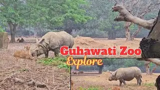 Guhawati zoo#travel #vlog #wildlife #animals #rhino #assam #love #nature #subscribe #trending #vlogs