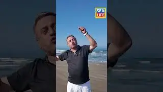 🏗️ Dream Liner в Sea Breeze &mdash; будущее строится здесь! 🌊