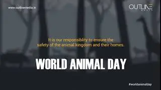 World Animal Day 2020 | Animal Welfare | Outline Media | Branding & Advertising Agency in Hyderabad