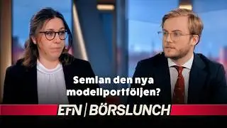 Vinstvarning väcker frågor – är återhämtningen hotad?