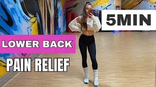 5 MIN Lower Back STRETCH | Post-Workout Pain Relief & Recovery