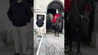 A Gentle Royal Horse Steals a Tourist&rsquo;s Heart #shorts