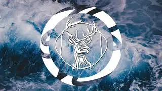 Taylor Moon - Chroma