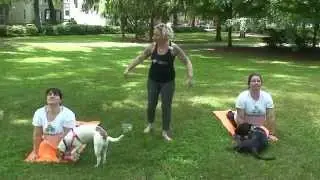 Savannah How: Learn to do yoga with your dog