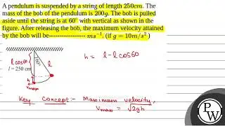 A pendulum is suspended by a string of length \(250 cm\). The mass of the bob of the pendulum is....