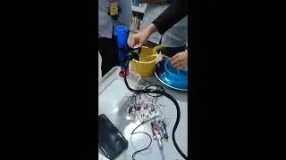 Automatic Small Ruminance Chicken Feeding System(Project Thesis)