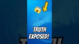 BLOOP действительно существует?🐳😱