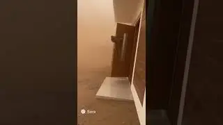 Terrifying Monkey 🐒 Goes in Storm #viral
