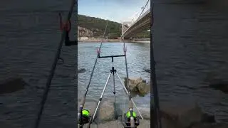 Duna, Erzs&eacute;bet h&iacute;d | V&iacute;z&aacute;ll&aacute;s: 235 cm