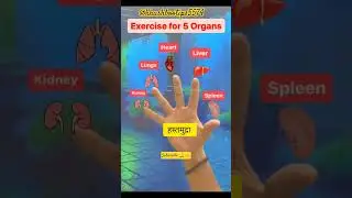 🗣️अंदरूनी बीमारियों के लिए हस्त मुद्रा योगHasta Mudra Yoga for Internal Ailment #truedialogue #trend