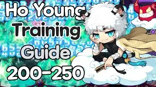 Hoyoung Training Guide 200 - 250
