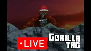 live stream with views Gorilla tag live stream