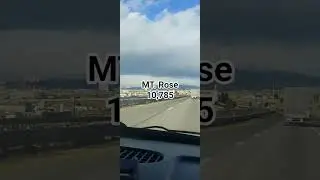 MT. Rose 🌹