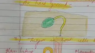 Lesson 5: Absorption by roots- the processes involved (part -4)