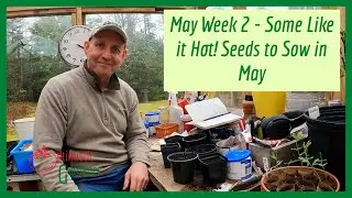 Seeds to Sow in May