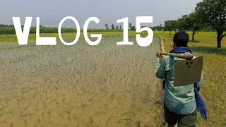 Dog bite at farm | Vlog 15 | D J Cheema