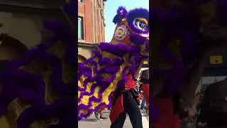 Dragon Dance Calgary Stampede #shorts #dragondance #costume #chinese