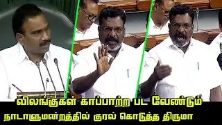 Thirumavalavan Speech at Parliament in Tamil | Chidambaram MP | Lok Sabha