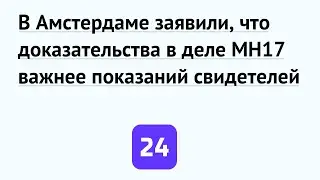В Амстердаме заявили, что доказательства в деле MH17 важнее показаний свидетелей