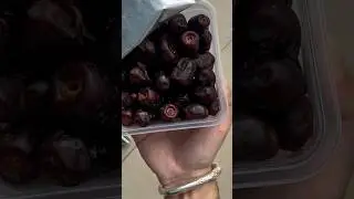 Manna Black Dates || Premium Select || Organic Handpicked Dates #dryfruits #dates #healthy #khajoor