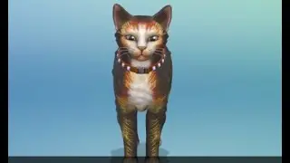 Sims 4 - CAS - Cats The Musical - Demeter | Izzy's Cosy Gaming Club
