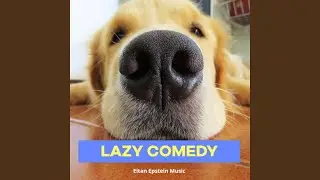 Quirky Humor