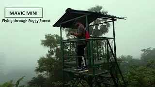 Flying through Foggy Forest | DJI Mavic Mini | 2.7k @30 fps | India