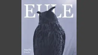 Eule