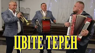 цвіте терен, гурт 