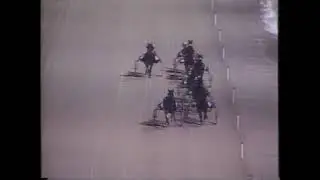 Balmoral Park 2-3-97 Head On