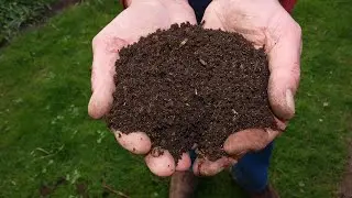 How to make compost from kitchen waste without any smell