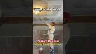 Nathan&rsquo;s Painting Services/Popcorn Removal