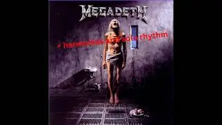 Symphony Of Destruction Backing track WITH HARMONIES AND RHYTHM DURING SOLO