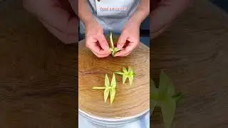 Curve fruit very easy and beauty #cuttingskills #design #food