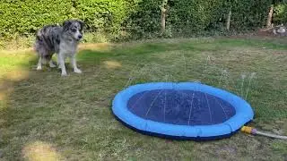 Foldable splash pad for dog pool, outdoor sprinkling play mat for dog pet children, A brilliant way