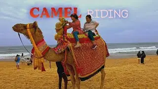 Golden Beach Puri with Family | Sea Bath, Horse & Camel Ride, Local Market Tour | Roaming Routes