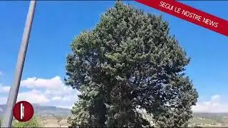 Donna uccisa a colpi pietra nel beneventano, marito in fuga